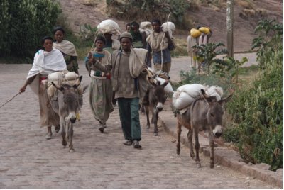 lalibela2009bild045.jpg