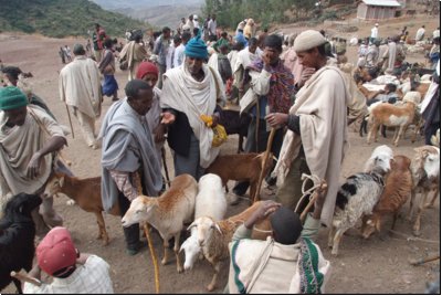 lalibela2009bild046.jpg