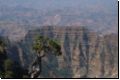 simien2009bild005.jpg