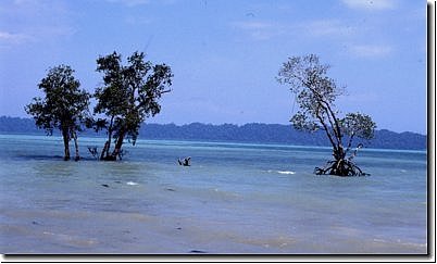 andamanen2005bild030.jpg