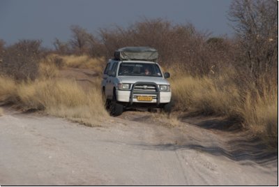kalahari2008bild010.jpg