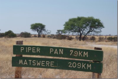 kalahari2008bild012.jpg