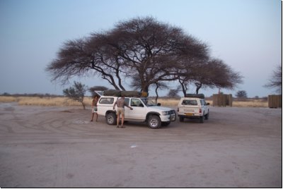 kalahari2008bild026.jpg