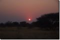 kalahari2008bild024.jpg