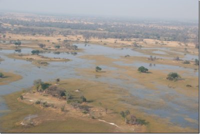 okawango2008bild007.jpg