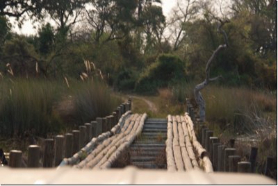 okawango2008bild016.jpg