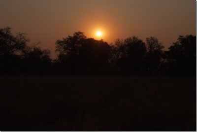 okawango2008bild019.jpg