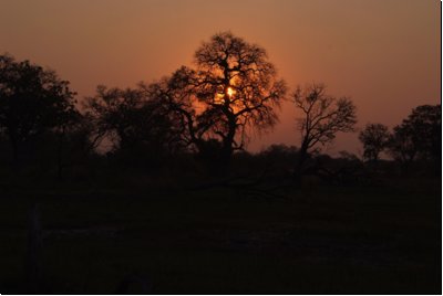 okawango2008bild020.jpg