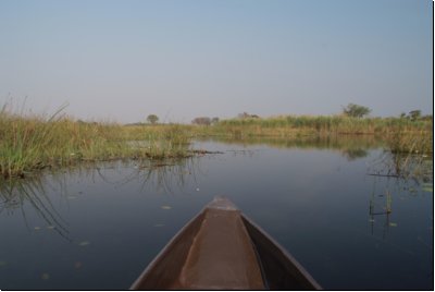okawango2008bild024.jpg