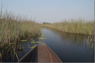 okawango2008bild026.jpg