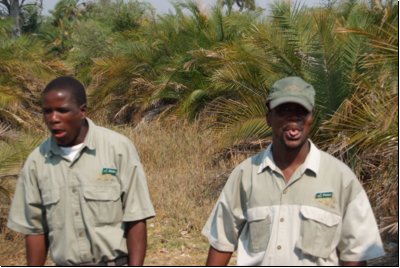 okawango2008bild032.jpg