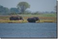 okawango2008bild037.jpg