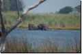 okawango2008bild039.jpg
