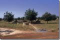 burkina2005bild038.jpg