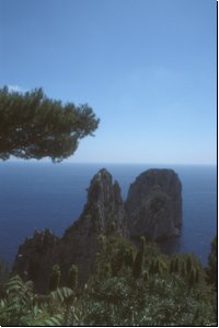 capri2006bild010.jpg