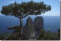 capri2006bild009.jpg