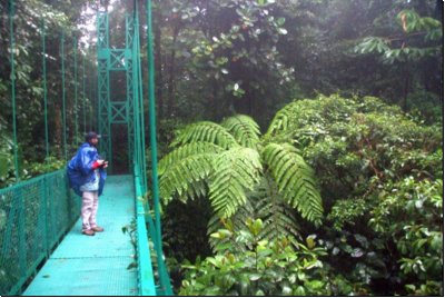 costarica2010bild024.jpg