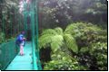 costarica2010bild024.jpg