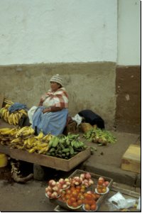 ecuador1988bild005.jpg