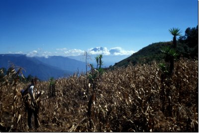 guate1989bild010.jpg