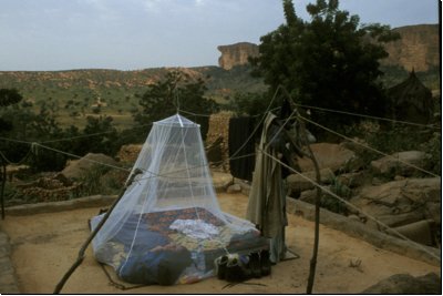 mali2005bild036.jpg
