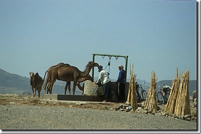 marokko2006bild019.jpg
