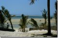 mocambique2003bild010.jpg