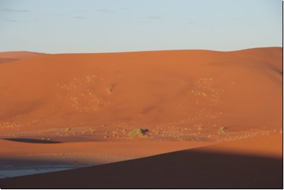deadvlei2008bild009.jpg