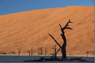 deadvlei2008bild011.jpg