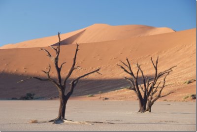 deadvlei2008bild015.jpg