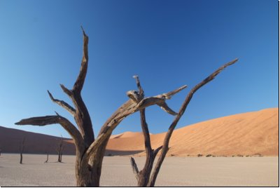deadvlei2008bild017.jpg