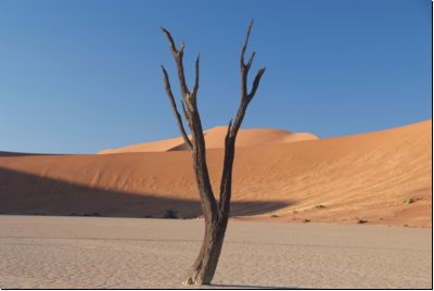 deadvlei2008bild018.jpg