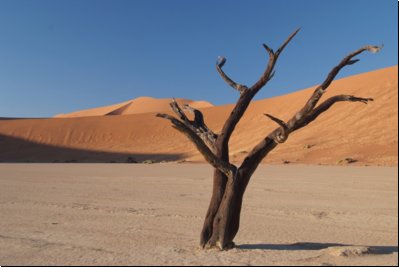 deadvlei2008bild021.jpg