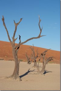 deadvlei2008bild024.jpg