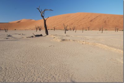 deadvlei2008bild025.jpg