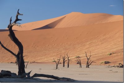 deadvlei2008bild026.jpg
