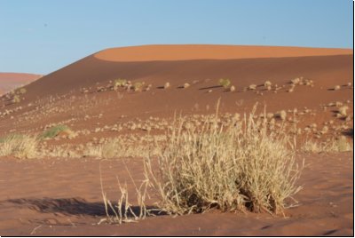 deadvlei2008bild027.jpg