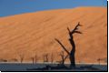 deadvlei2008bild011.jpg
