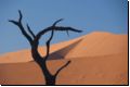 deadvlei2008bild012.jpg