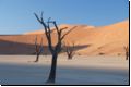 deadvlei2008bild014.jpg