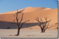 deadvlei2008bild015.jpg