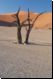 deadvlei2008bild016.jpg