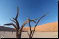 deadvlei2008bild017.jpg