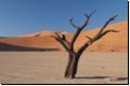 deadvlei2008bild021.jpg