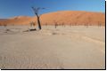 deadvlei2008bild025.jpg