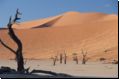 deadvlei2008bild026.jpg