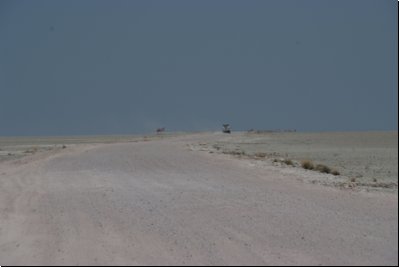 etosha2008bild067.jpg