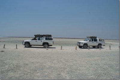 etosha2008bild068.jpg