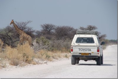 etosha2008bild082.jpg