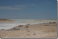 etosha2008bild065.jpg